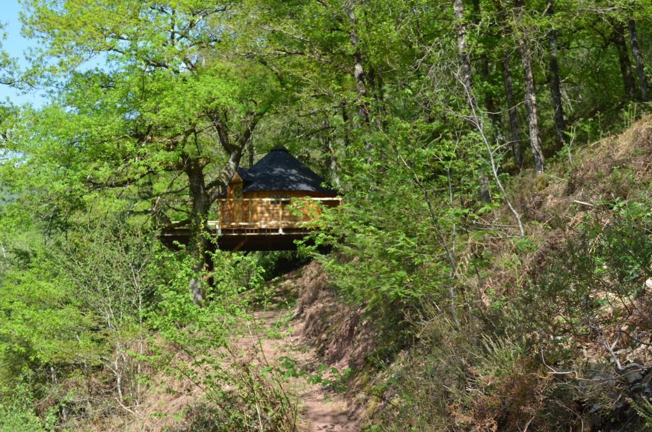 Ma Cabane En Aveyron Conques-en-Rouergue Dış mekan fotoğraf