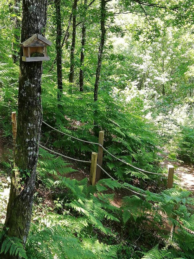 Ma Cabane En Aveyron Conques-en-Rouergue Dış mekan fotoğraf